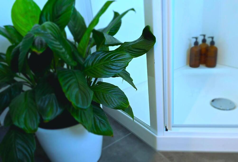 Apartment 2 - Haddin Court - Stunning Executive ブレナム エクステリア 写真